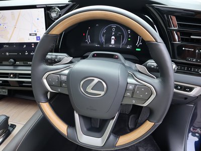 صورة مصغرة 65 لـ 2024 Lexus RX