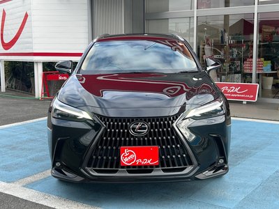 LEXUS NX - 5