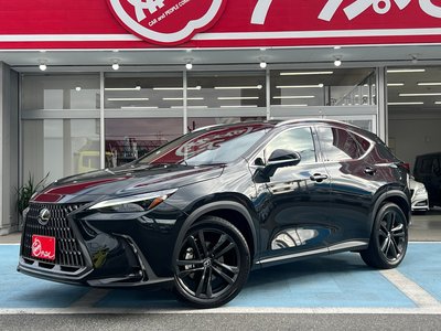 LEXUS NX - 3