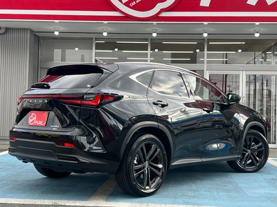 LEXUS NX - 9