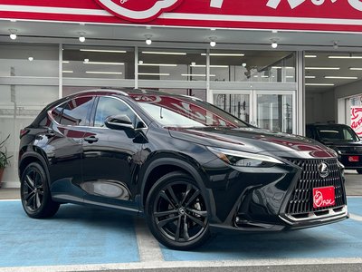 LEXUS NX - 6