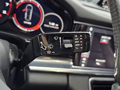 2020 Porsche PANAMERA 缩略图 30