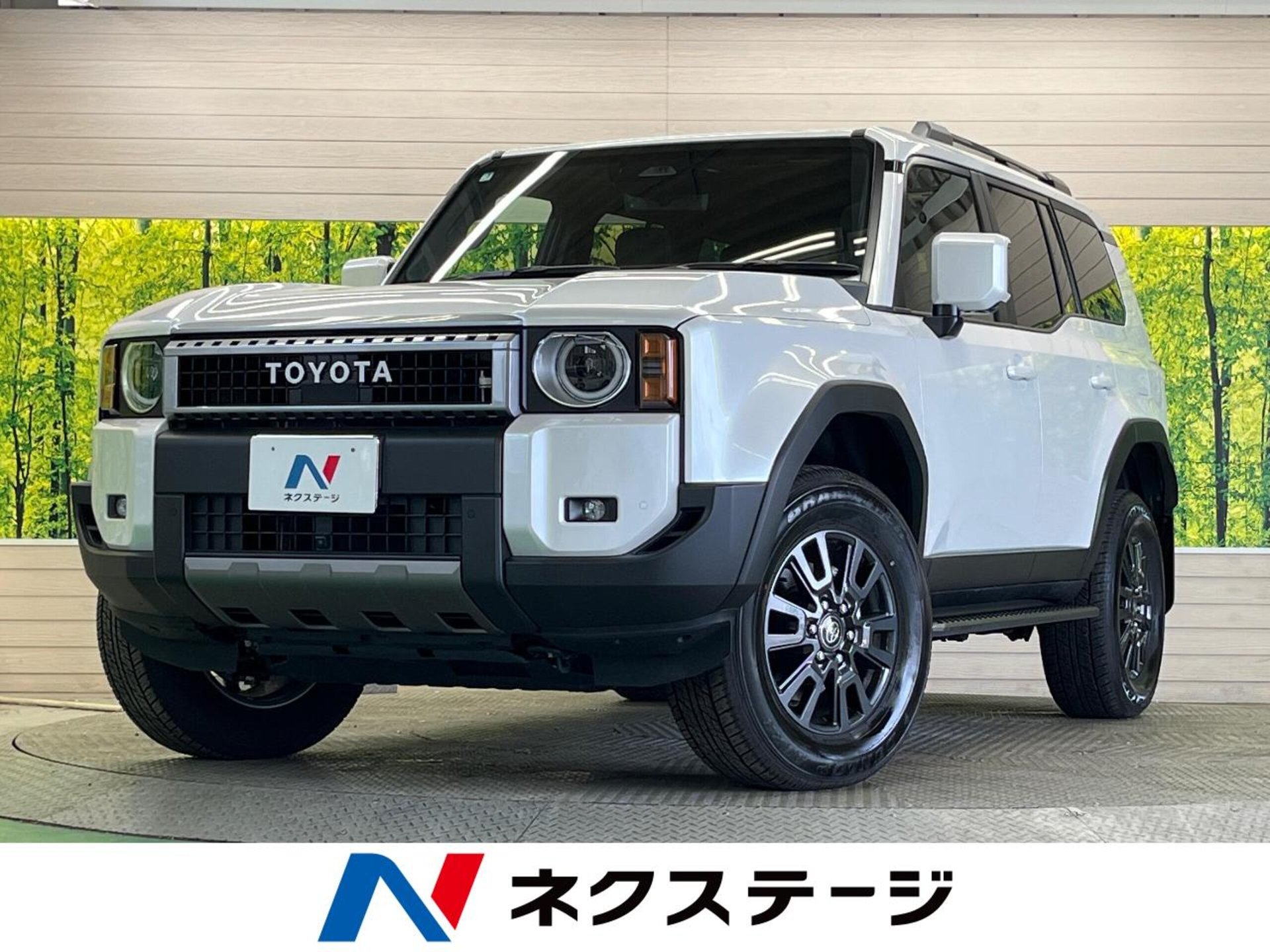 TOYOTA LAND CRUISER 250 - View 1