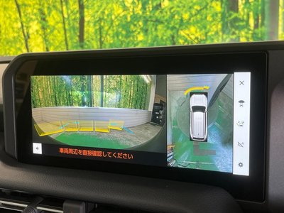 TOYOTA LAND CRUISER 250 - 5