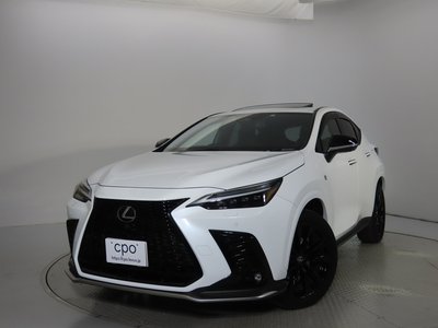 LEXUS NX - 6