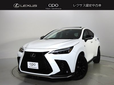 LEXUS NX - 1
