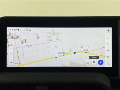 TOYOTA LAND CRUISER 250 - 6