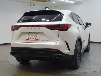 LEXUS NX - 8