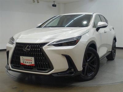 LEXUS NX - 6