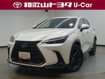 LEXUS NX - 1