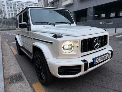 MERCEDES-BENZ G-CLASS - 2