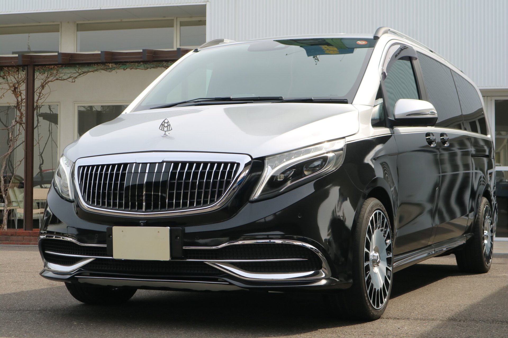 MERCEDES-BENZ V-CLASS - View 1