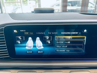 2021 Mercedes-BENZ GLS 缩略图 63