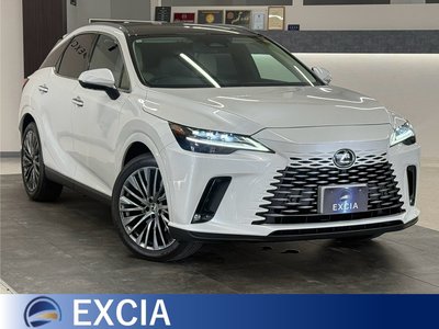 صورة 1 لـ 2023 Lexus RX