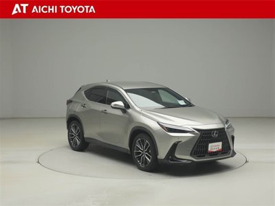 2022 Lexus NX 照片 8