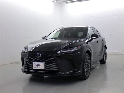 LEXUS RX - 1