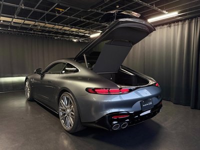2025 Mercedes-BENZ GT AMG 缩略图 19