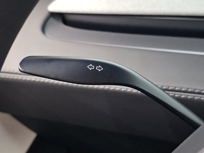 2025 Tesla MODEL Y thumbnail 22
