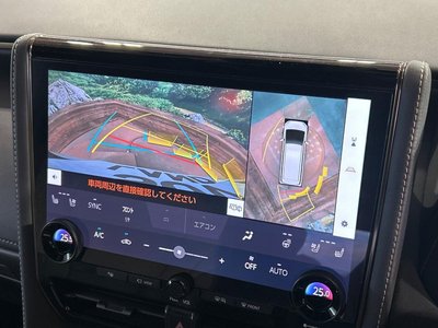 2024 Toyota ALPHARD photo 6