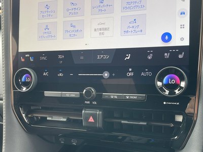 2025 Toyota ALPHARD — миниатюра 41