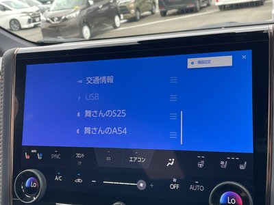 2025 Toyota ALPHARD — миниатюра 31