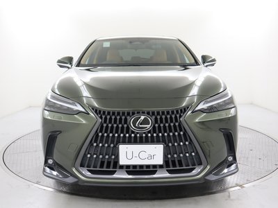 2022 Lexus NX — фото 10
