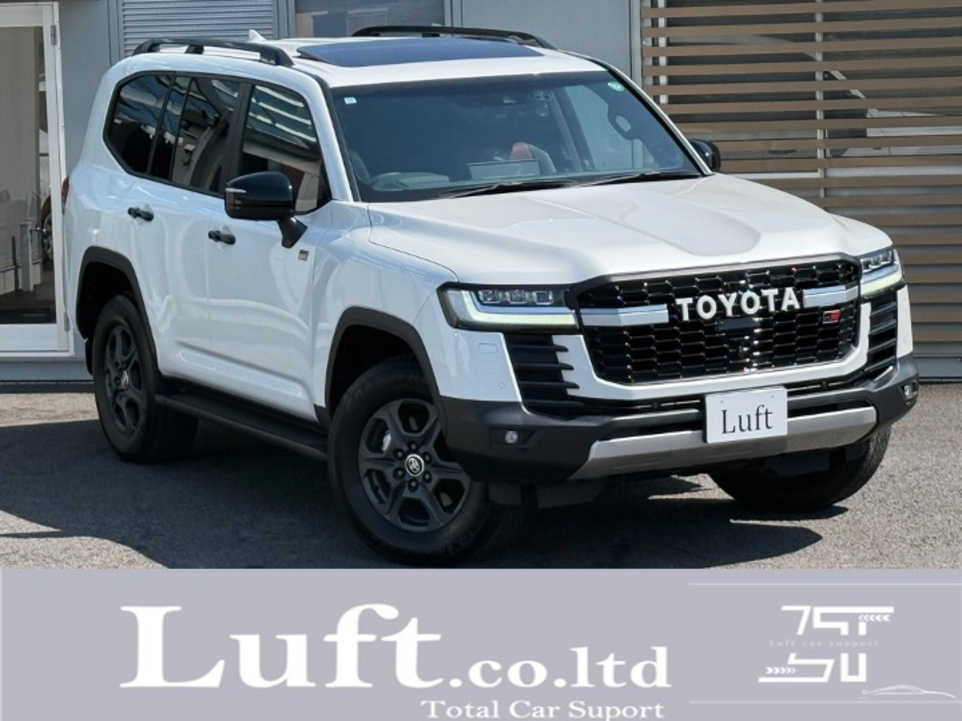 TOYOTA LAND CRUISER 300 - View 1