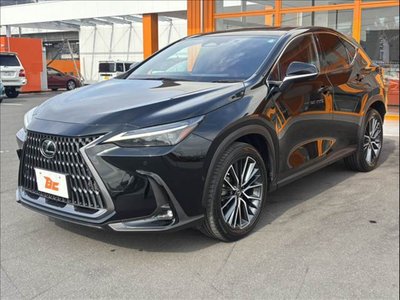 LEXUS NX - 10