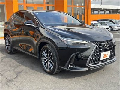 LEXUS NX - 8