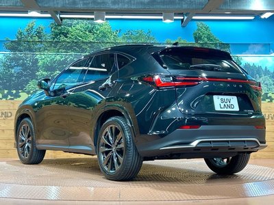 2024 Lexus NX 缩略图 26
