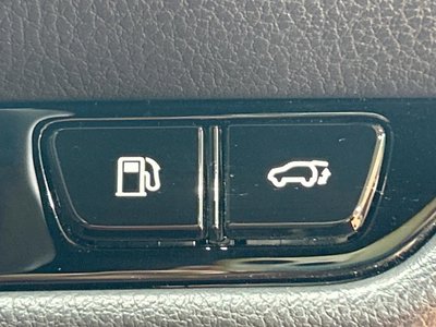 2024 Lexus NX 缩略图 41