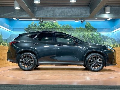 2024 Lexus NX 缩略图 27