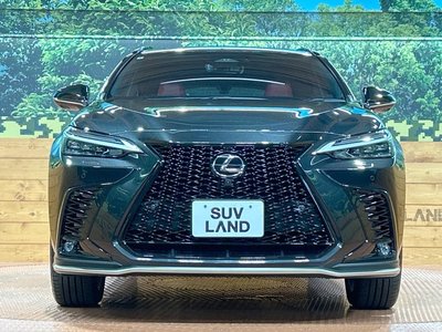 2024 Lexus NX 缩略图 14