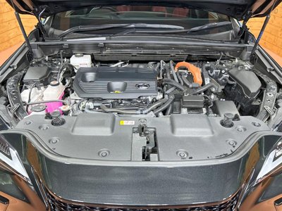 2024 Lexus NX 缩略图 18