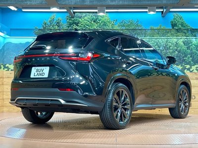 2024 Lexus NX 缩略图 17