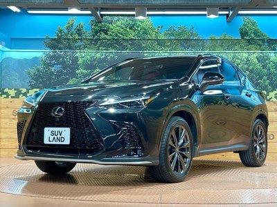 2024 Lexus NX 缩略图 24