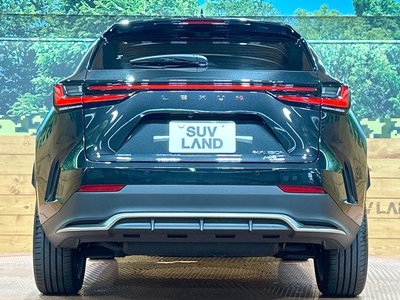 2024 Lexus NX 缩略图 15