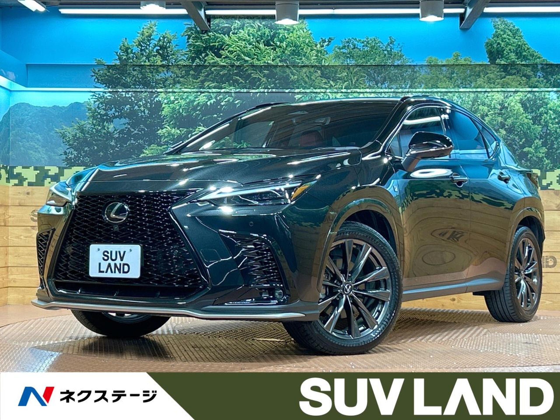 2024 Lexus NX 照片 1
