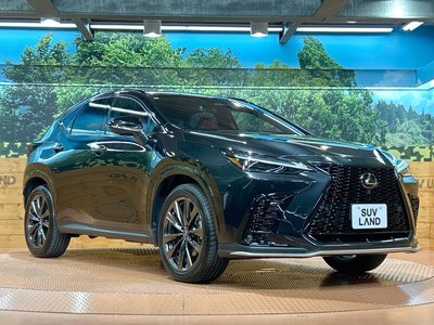 2024 Lexus NX 缩略图 16