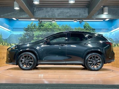 2024 Lexus NX 缩略图 25