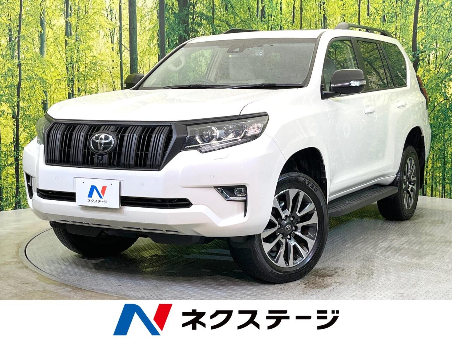 TOYOTA LAND CRUISER PRADO - View 1