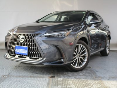LEXUS NX - 2