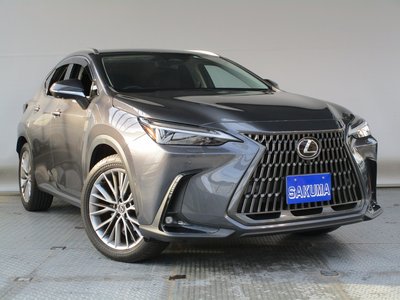 LEXUS NX - 4
