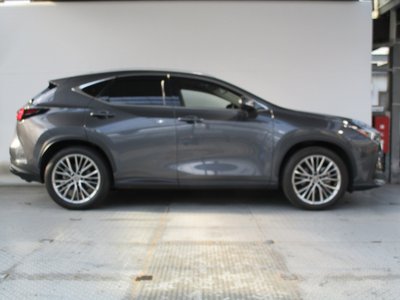LEXUS NX - 5