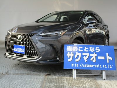 LEXUS NX - 1