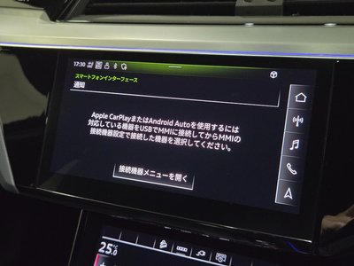 2023 AUDI Q8 SPORTBACK E-TRON 缩略图 96