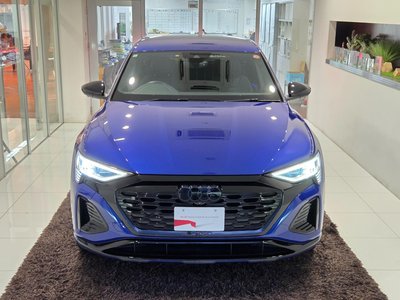 2023 AUDI Q8 SPORTBACK E-TRON 缩略图 123