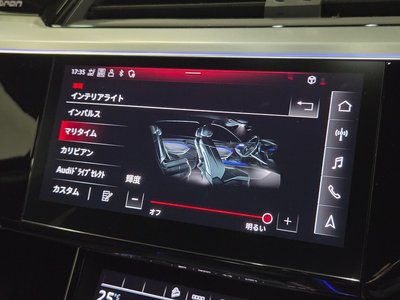 2023 AUDI Q8 SPORTBACK E-TRON 缩略图 100