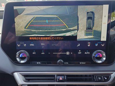 2024 Lexus RX 缩略图 20