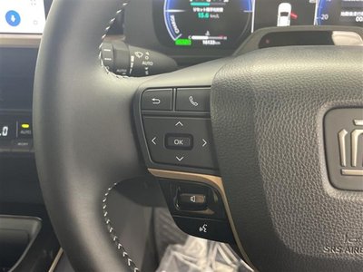 2024 Toyota CROWN SPORT 缩略图 12